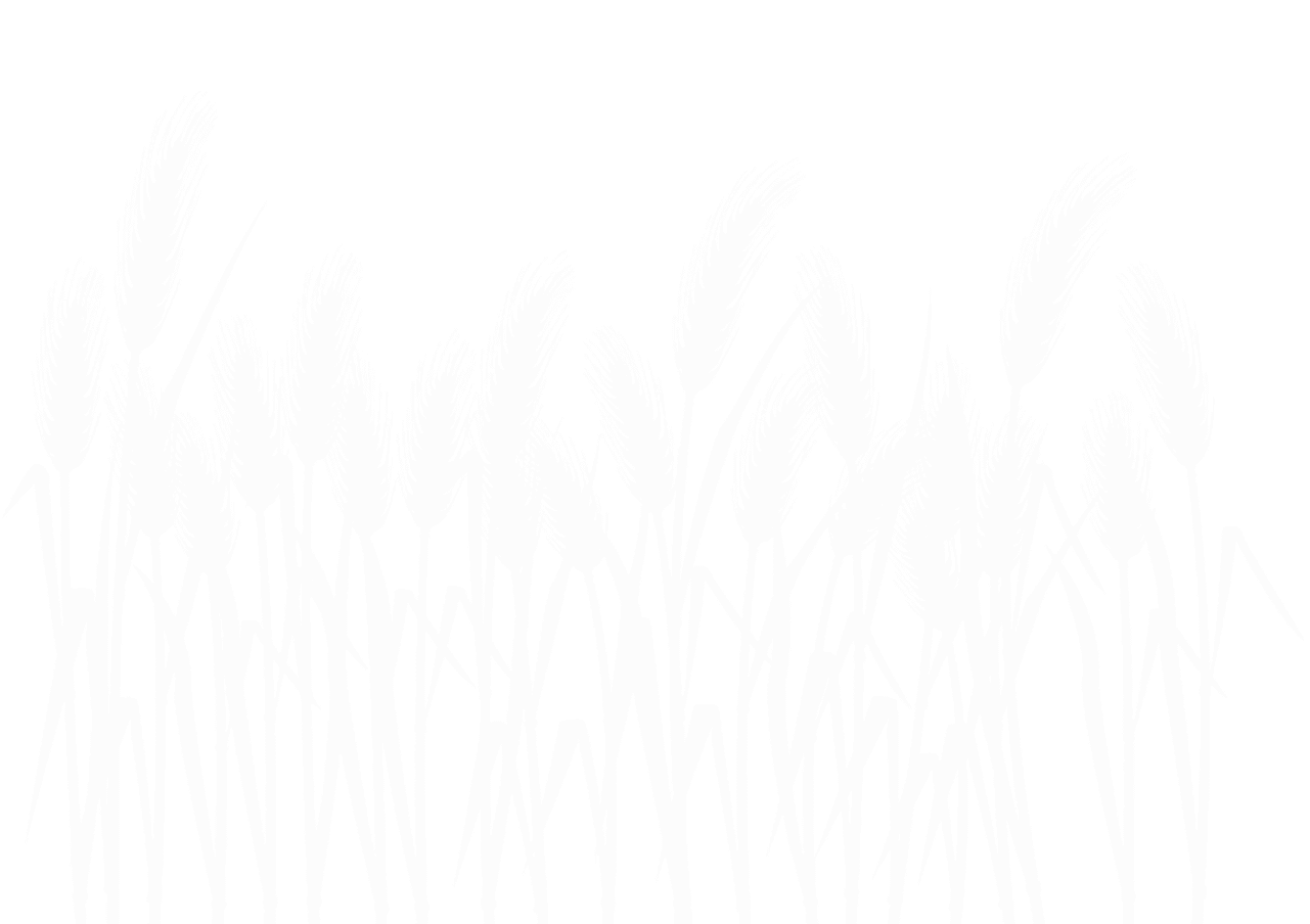 Background Wheat